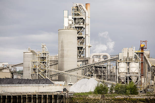 Ambuja Cement Plant - Industrial Plant scaffolding project in Mundwa, Rajasthan